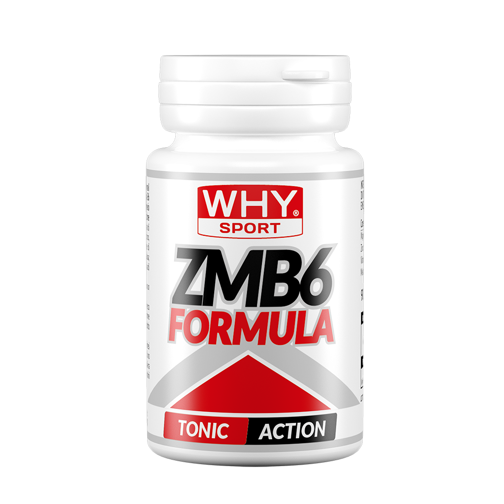 ZMB6 FORMULA 90 cpr