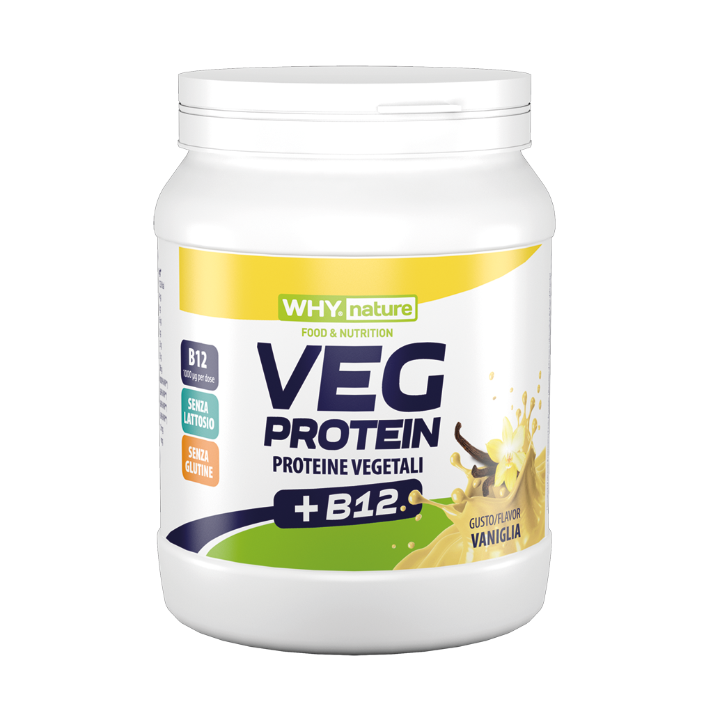 VEG PROTEIN 450g