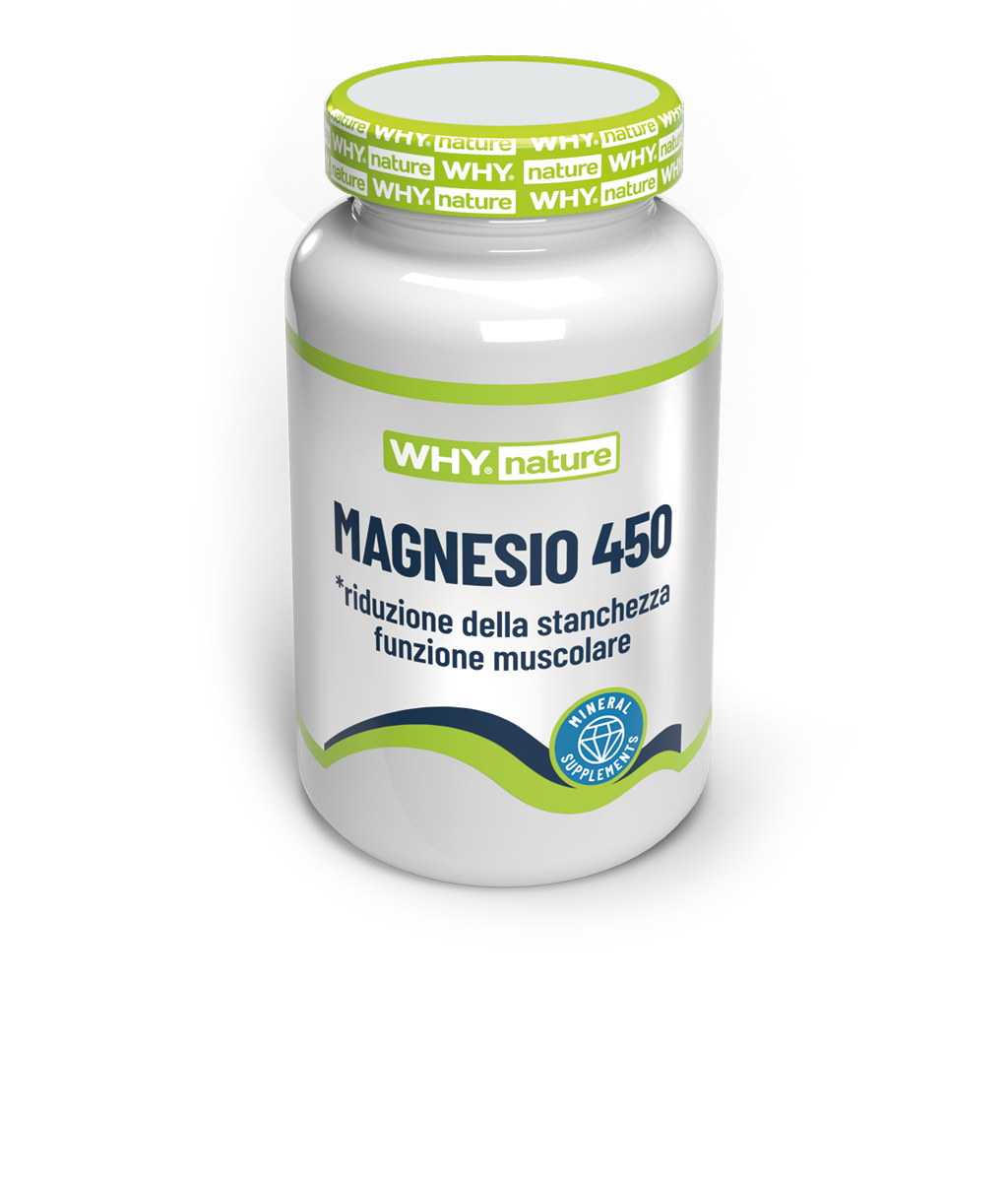 MAGNESIO 450 90 cpr