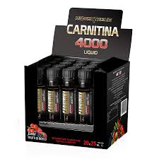 Carnitina 4000 25 ml